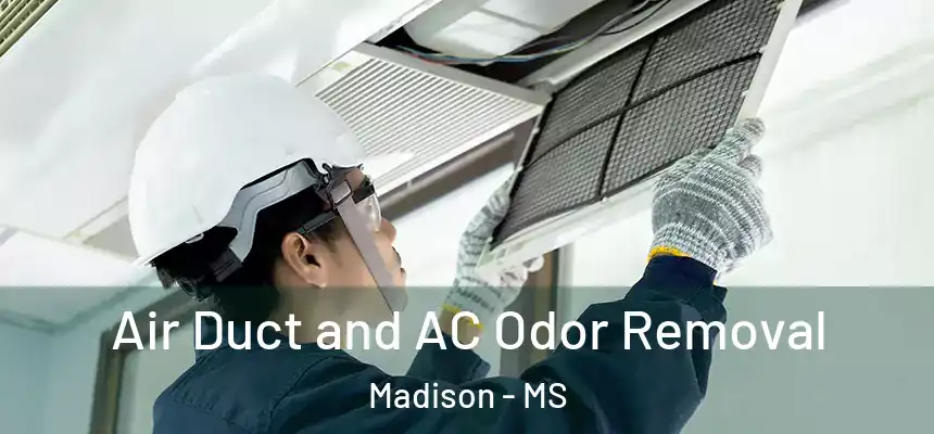 Air Duct and AC Odor Removal Madison - MS