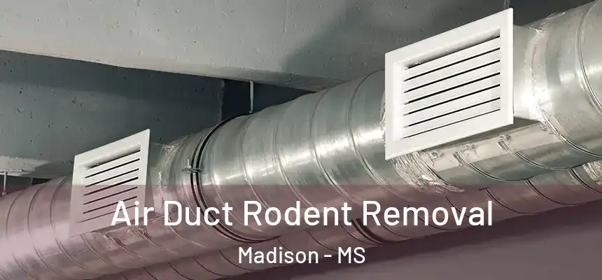  Air Duct Rodent Removal Madison - MS