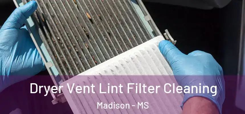 Dryer Vent Lint Filter Cleaning Madison - MS