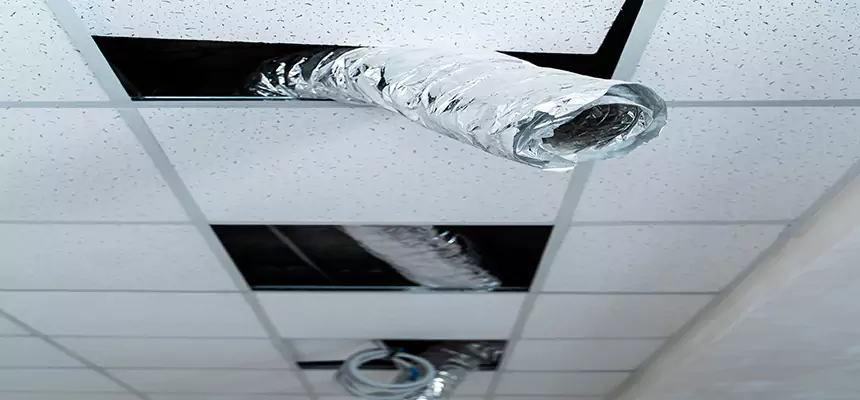 Our Air Duct Pet Hair Removal Services in Madison, MS