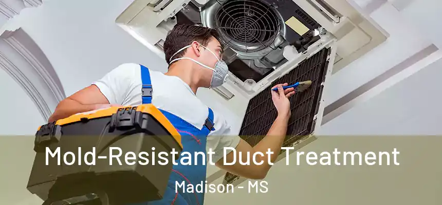 Mold-Resistant Duct Treatment Madison - MS