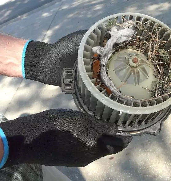 About Air Duct Rat Removal in Madison, MS