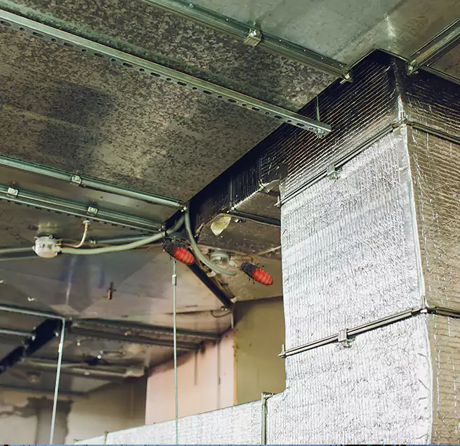 Why Homeowners & Businesses Trust Us in Madison, MS?