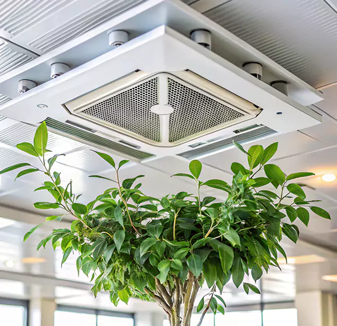 Why Homeowners & Businesses Trust Us in Madison, MS?